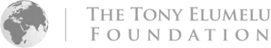The Tony Elumelu Foundation